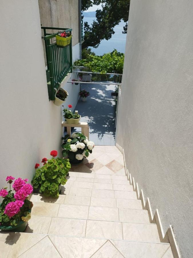 Apartments Mare - 150 M From Beach Brela Extérieur photo